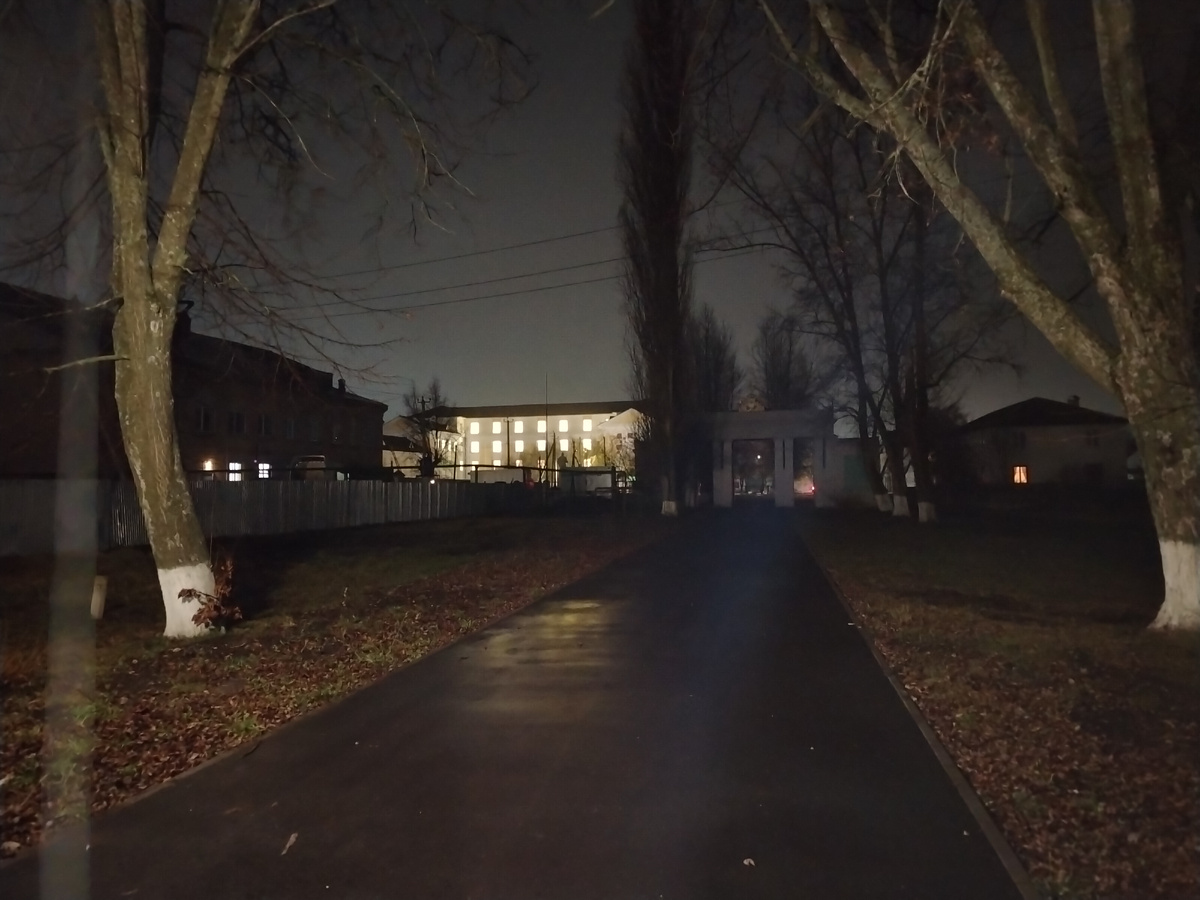 Вчера в нашем парке во время прогулки. Они святяся из школы, гля училась. Там капитальный ремонт. 