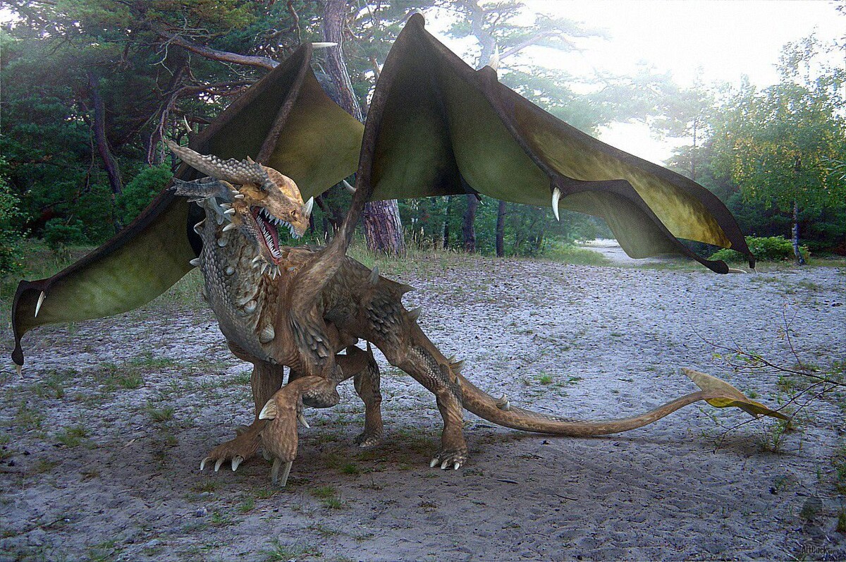 Фотография из интернета