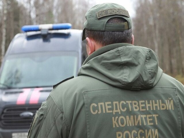    Фото: телеграм-канал "СУ СК России по Омской области"