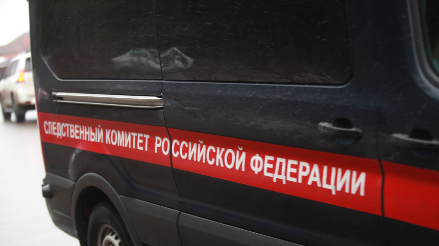    Фото: ИЗВЕСТИЯ/Зураб Джавахадзе