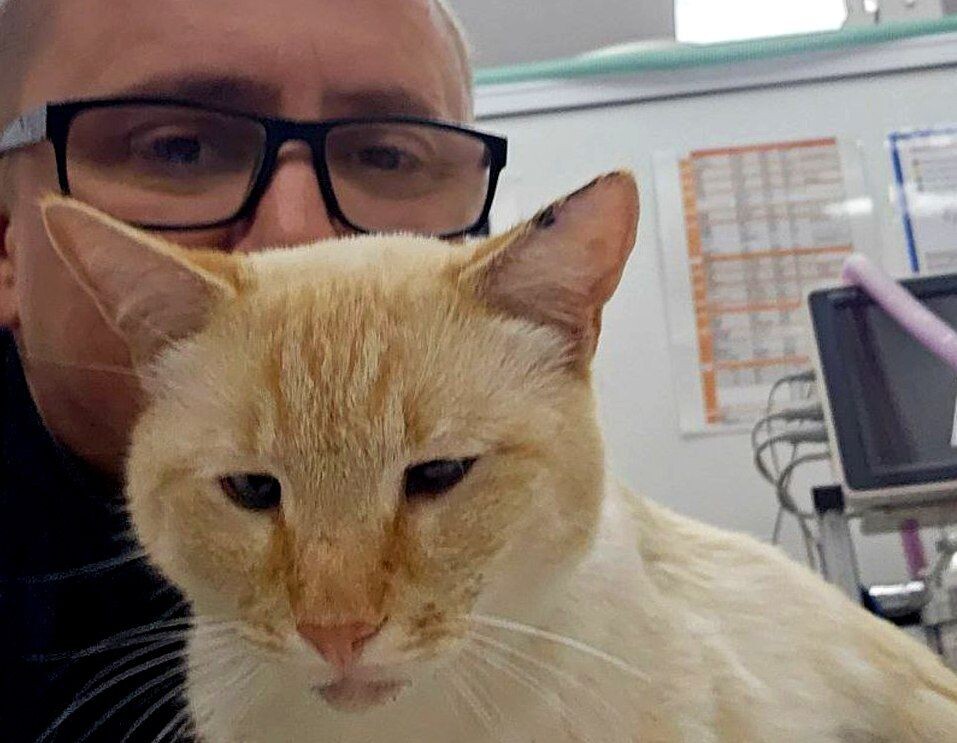     / Источник: Мосветобъединение