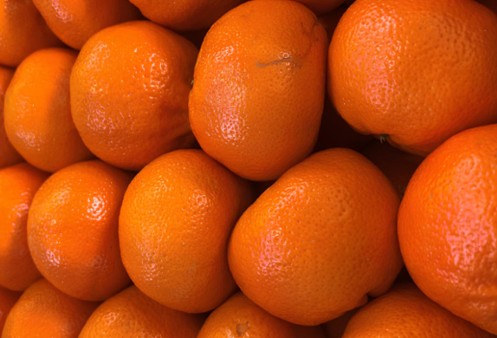 фото: пресс-служба Северо-Западного межрегионального управления Россельхознадзора