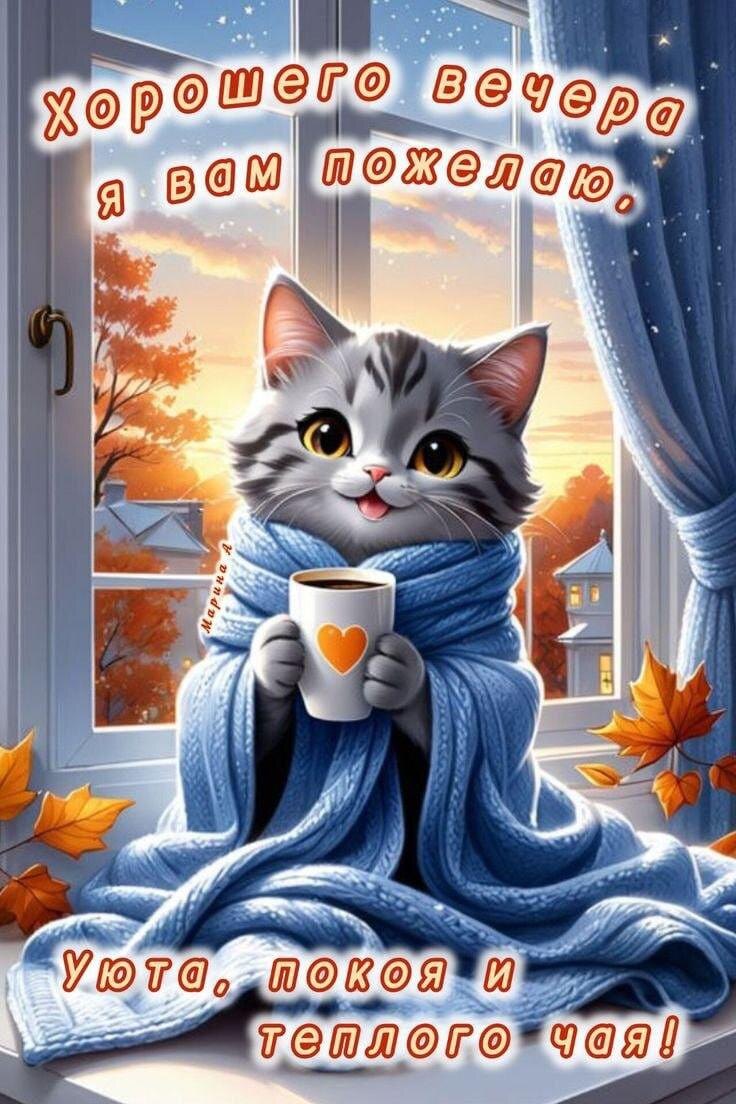 Фото из открытых источников.