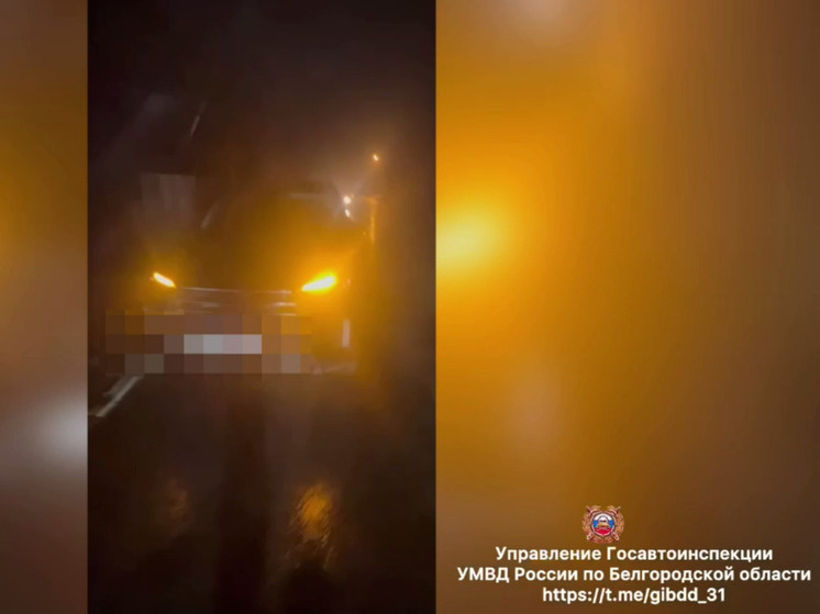     В Белгородском округе 11-летняя девочка попала под колеса «Эксида», фото: скриншот видео со страницы t.me/gibdd_31