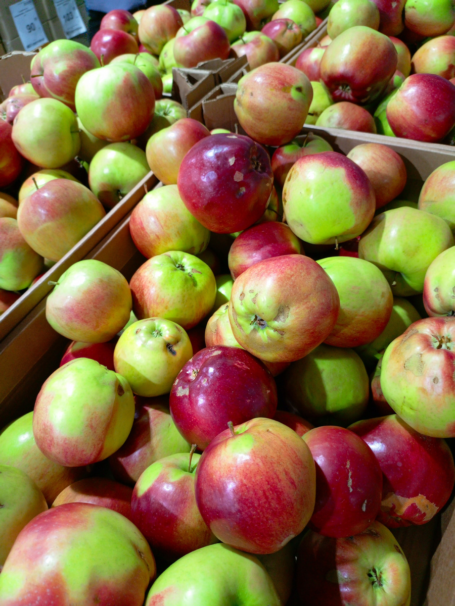 Фото сделано автором канала