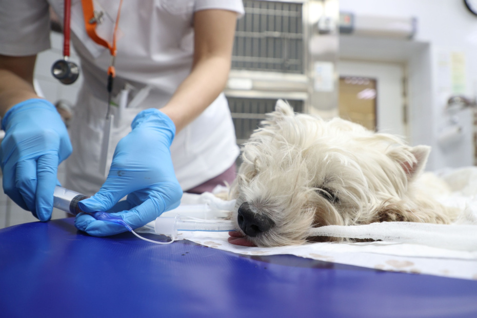    Артём Соболев/NEWS.ru