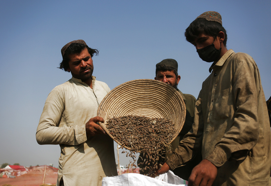    Saifurahman Safi/XinHua/Global Look Press