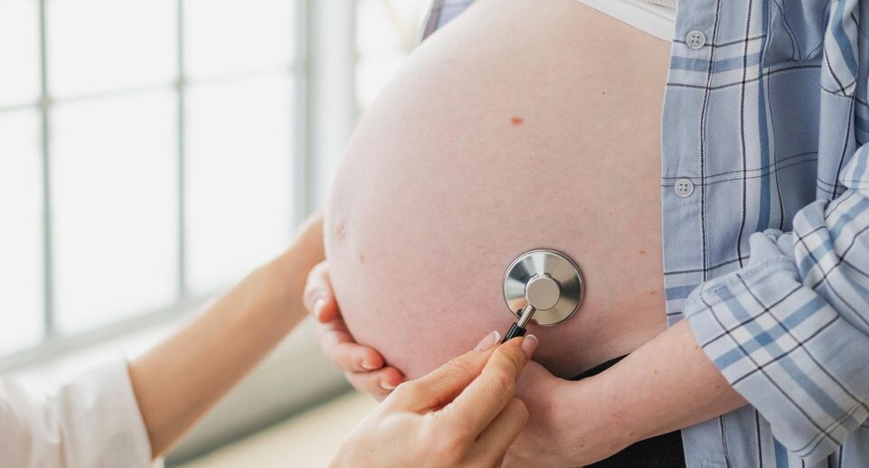    IMAGO/Zoonar.com/Iuliia Zavalish / www.globallookpress.com