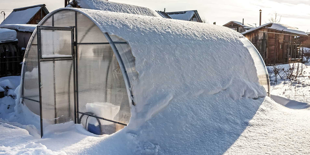 Обустройство зимней теплицы: мой путь от мечты до первого зимнего урожая 🌱❄️