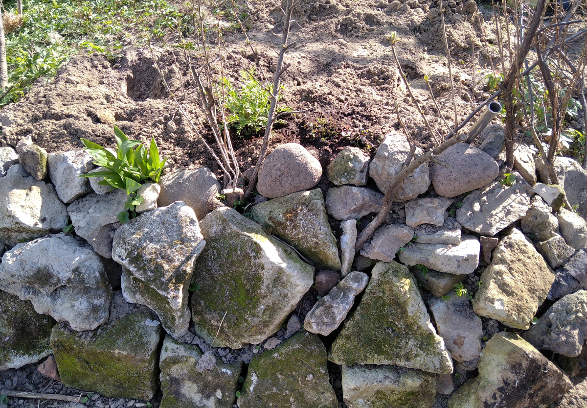 Весна 2023 года - пока только камни и песок