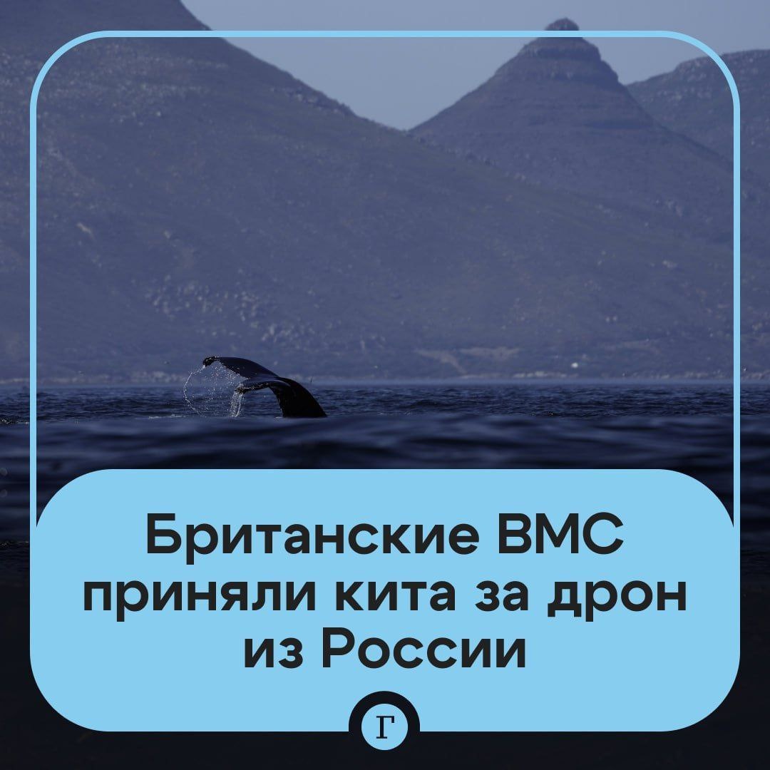 Ссылка выше