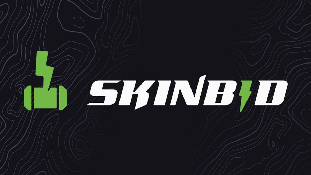 Источник: SkinBid