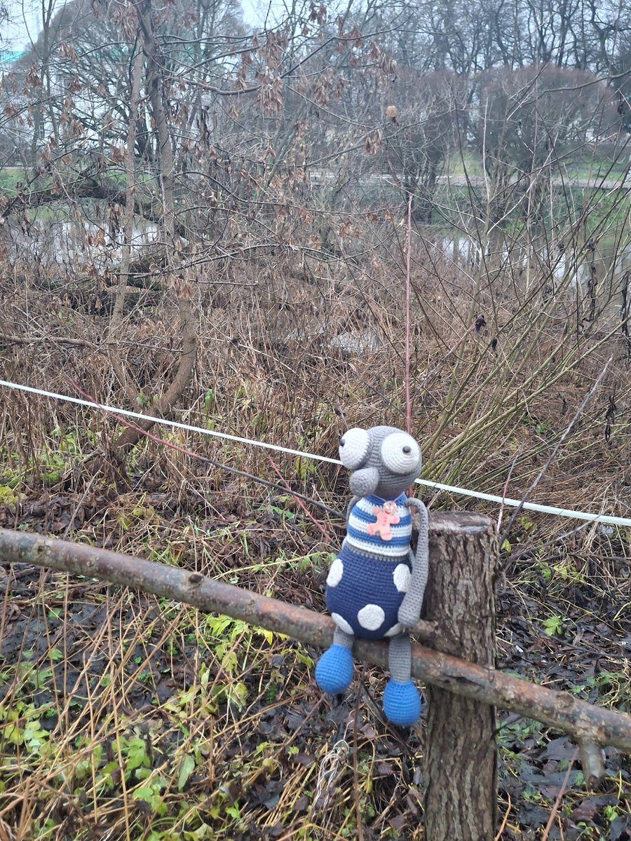 Фото автора канала 