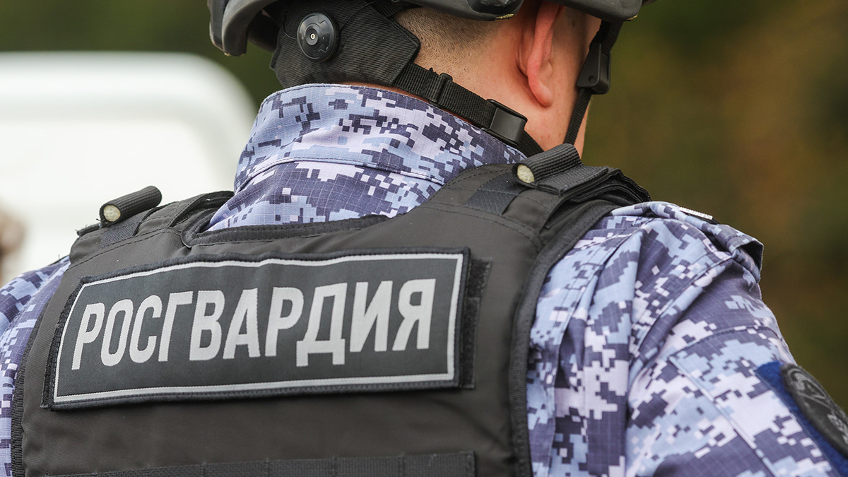   Наталья Шатохина / NEWS.ru / ТАСС- Архивное фото