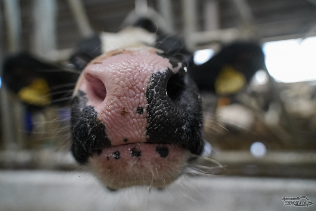    Фото: Лидия Аникина © ИА "Уральский меридиан"