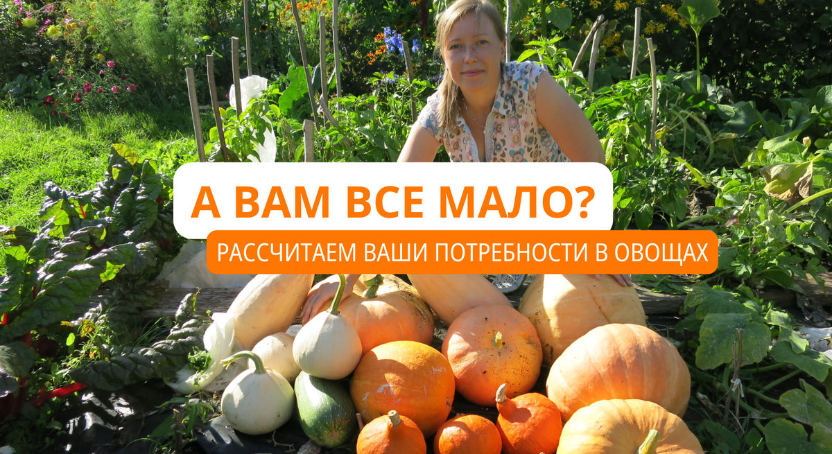 Сколько вам нужно тыквы на год? Мне достаточно того количества, которое на фото