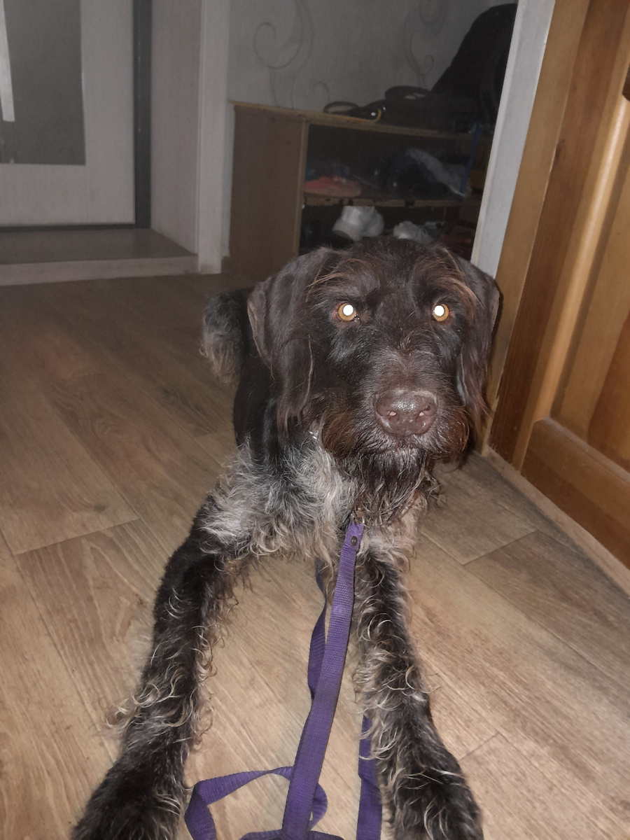 Первый вечер в квартире.