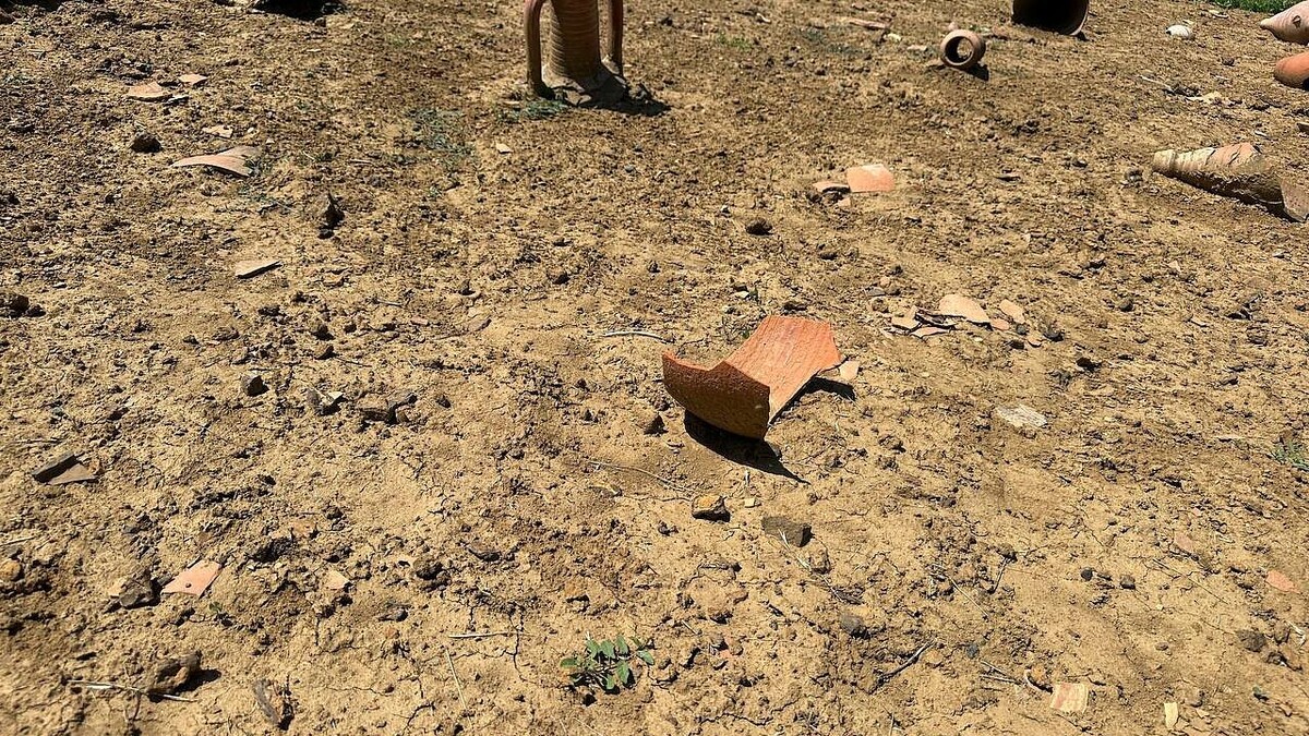    Фото: телеканал «Краснодар»