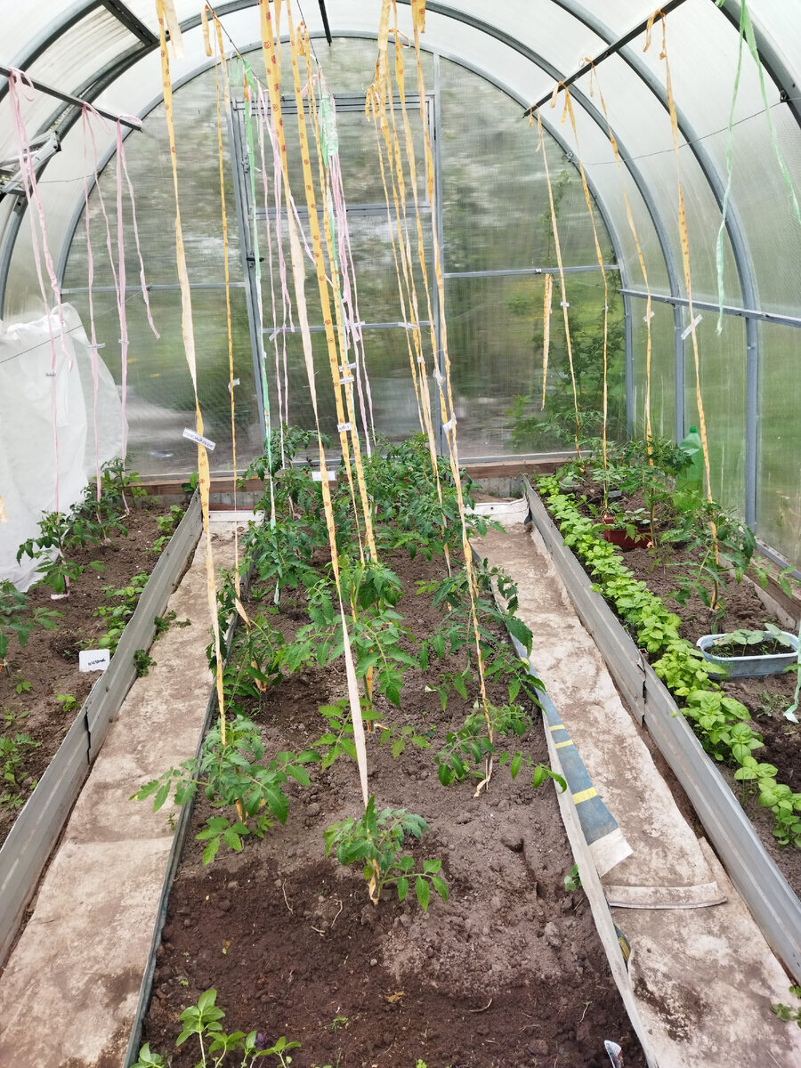 май 2023 год. Через две недели после высадки