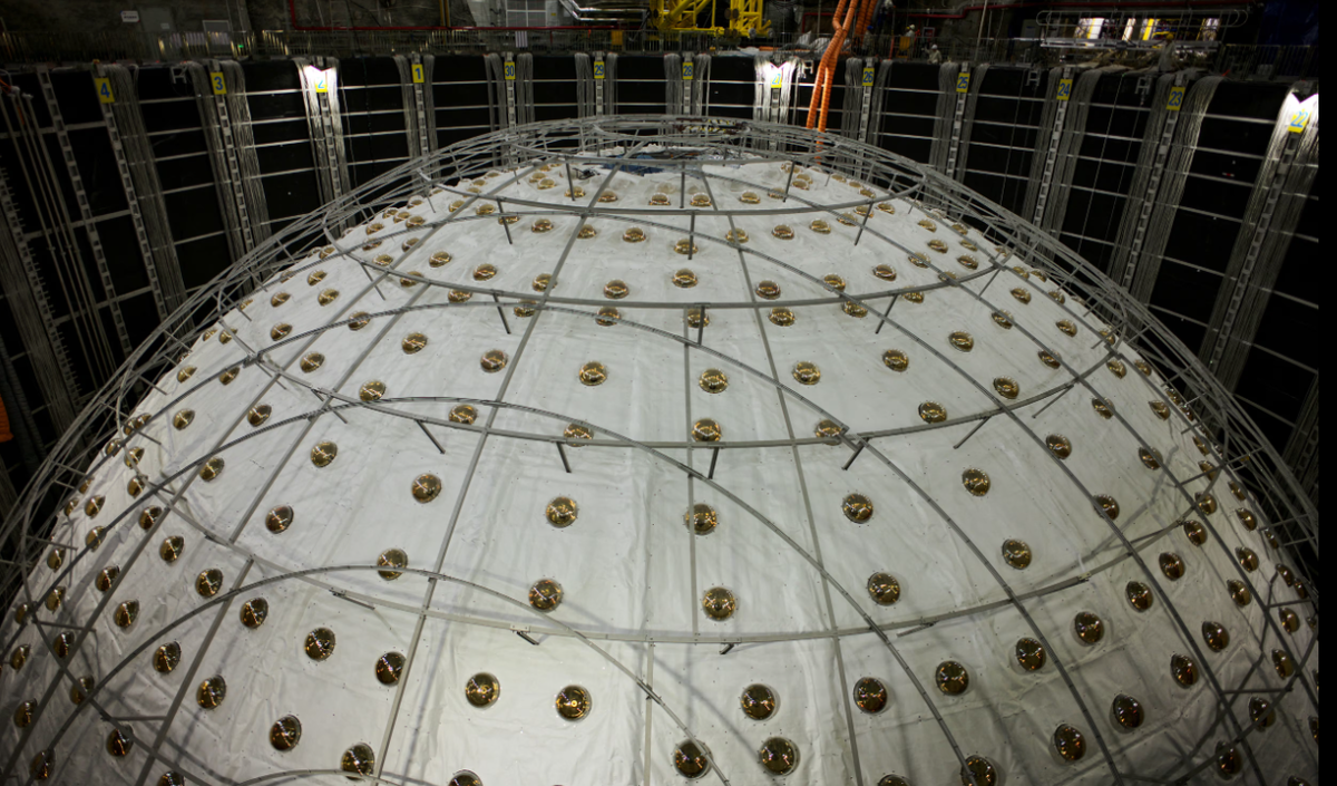 Вид детектора