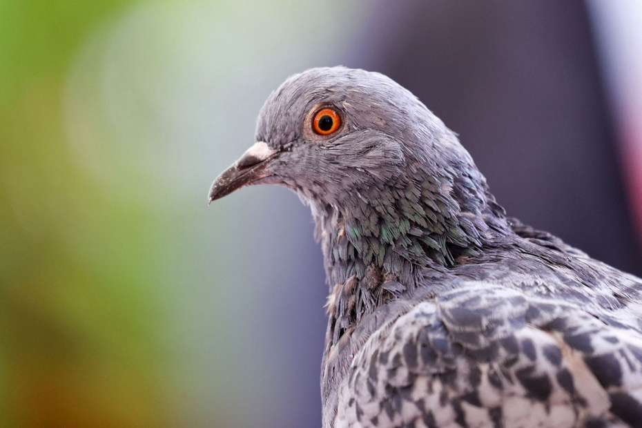    Сергей Булкин/NEWS.ru