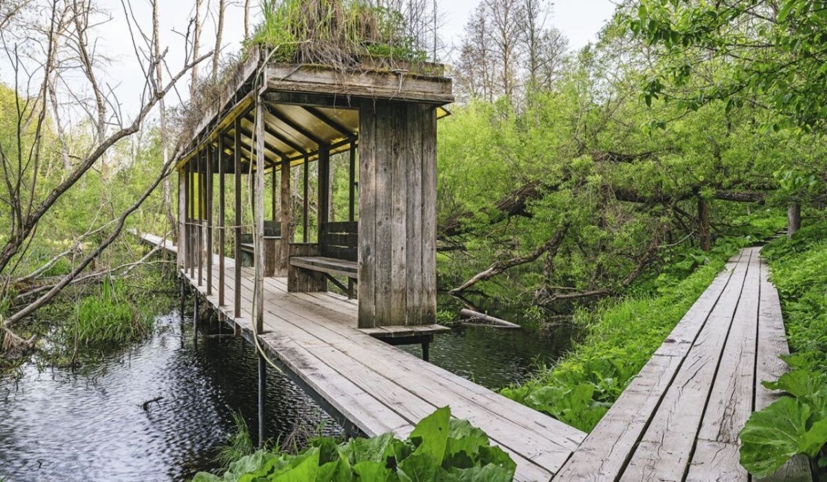     Александр Бродский. Мост с крышей. На мосту можно задержаться и почитать книги о путешествиях. Источник: forbes.ru Автор фото: Ксении Инверс для Forbes