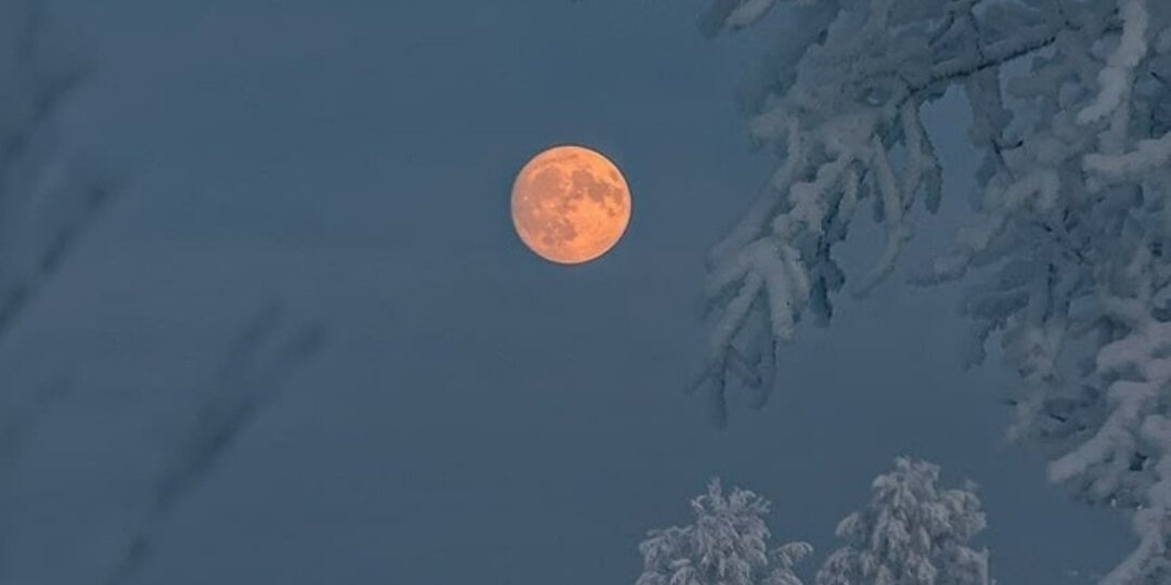 ...Безмолвие Снегов..