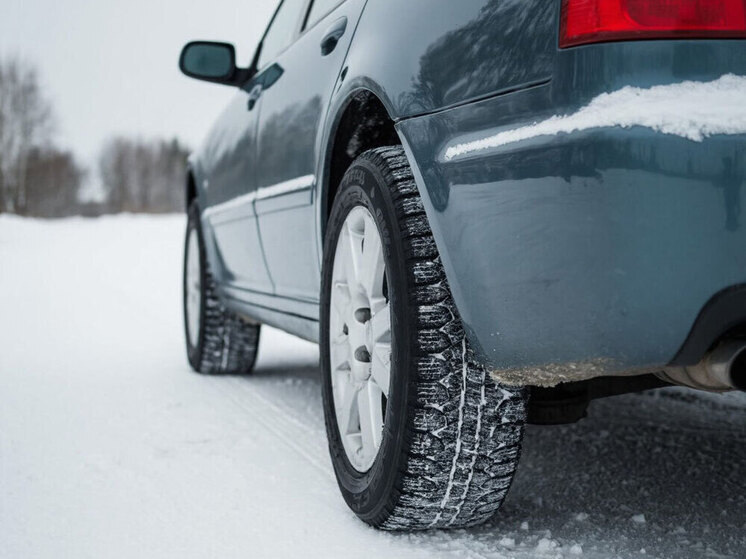     Фото: сгенерировано ИИ Алиса.