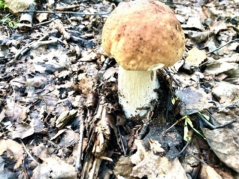    Фото автора Наталья Игнатова