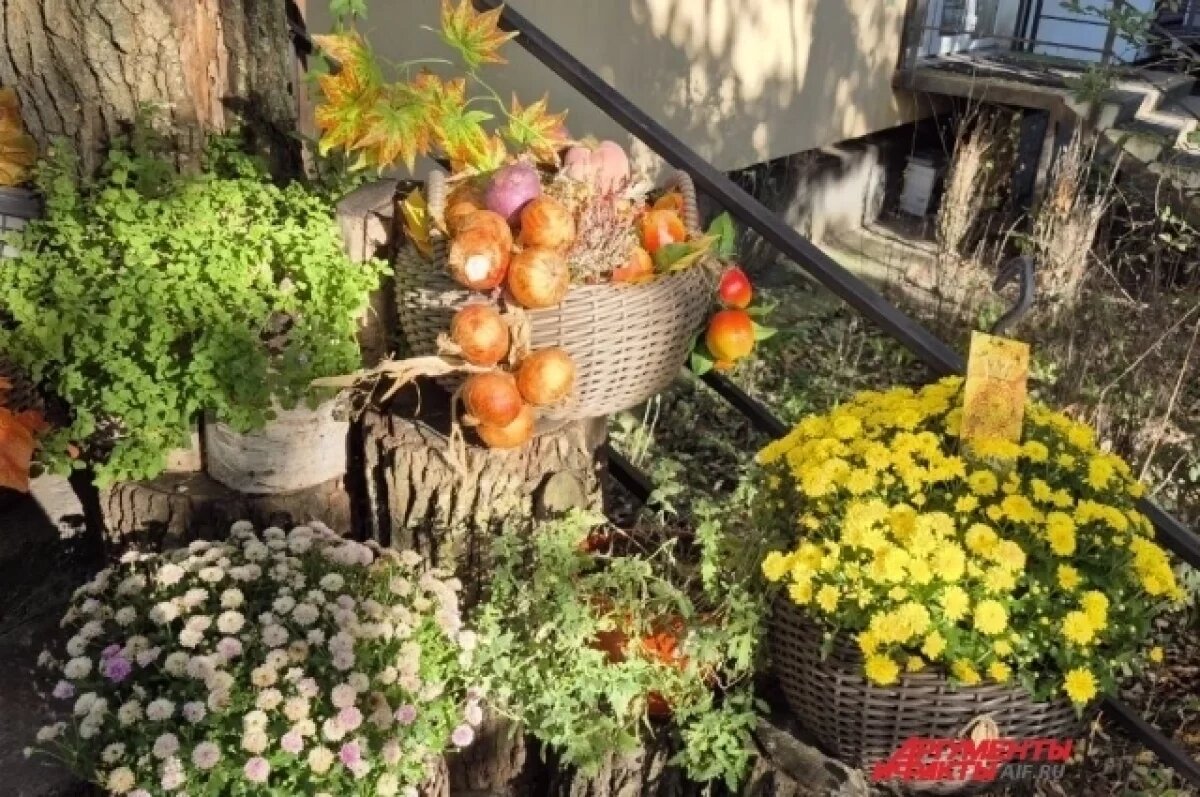    Торговлю цветами в автобусах запретят в Якутске с 2026 года