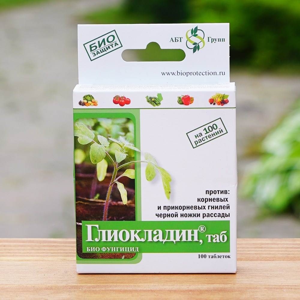 Используйте таблетированные формы («Глиокладин»). Заглубляйте 1–2 таблетки в зону корней (не на поверхность!) раз в сезон. 