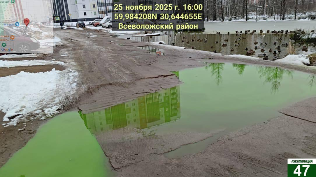 Фото: пресс-служба комитета государственного экологического надзора Ленинградской области