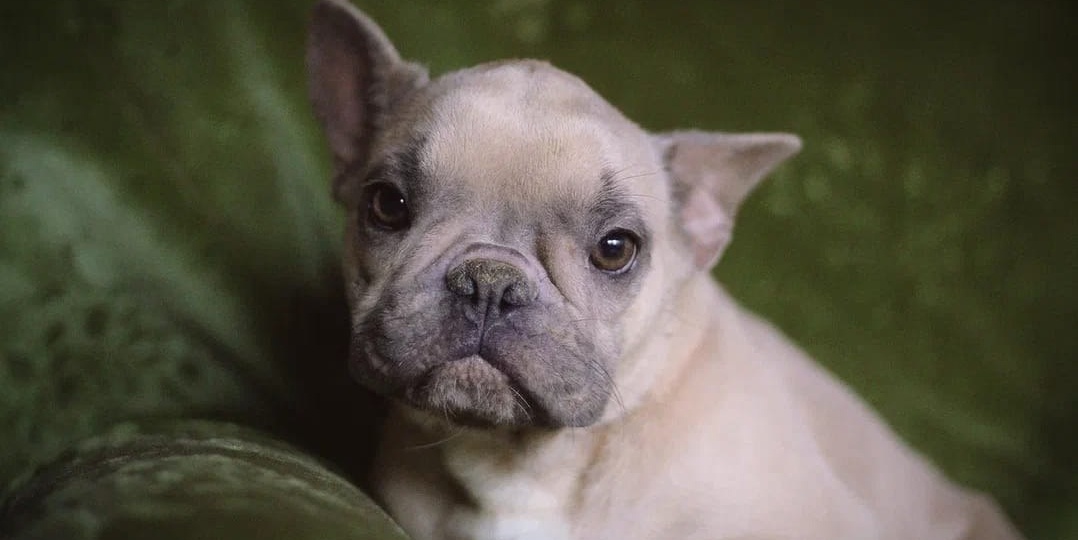 🩷Милое очарование в