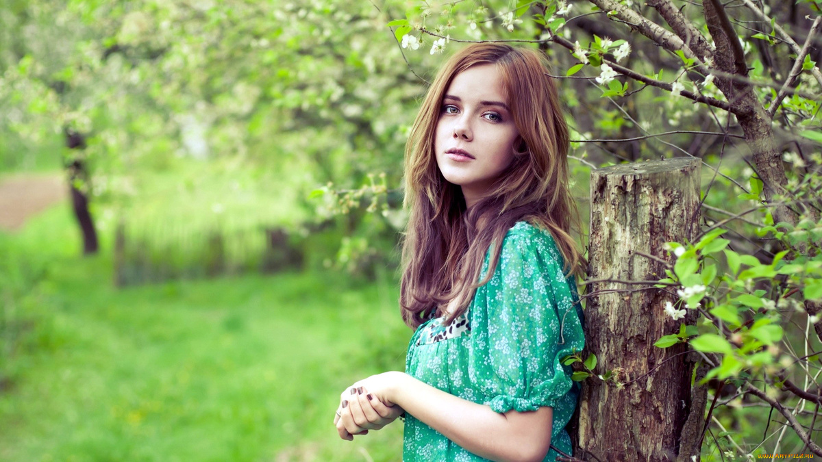 Яндекс. Картинки