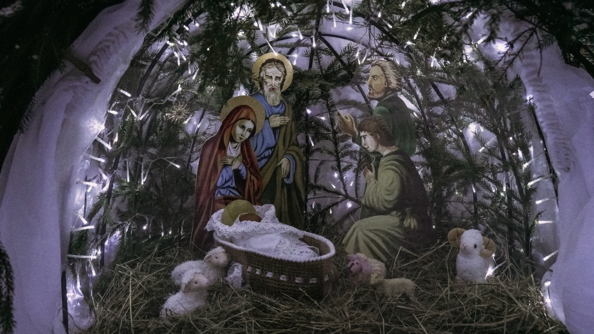 Светлана Мулыкина📷
