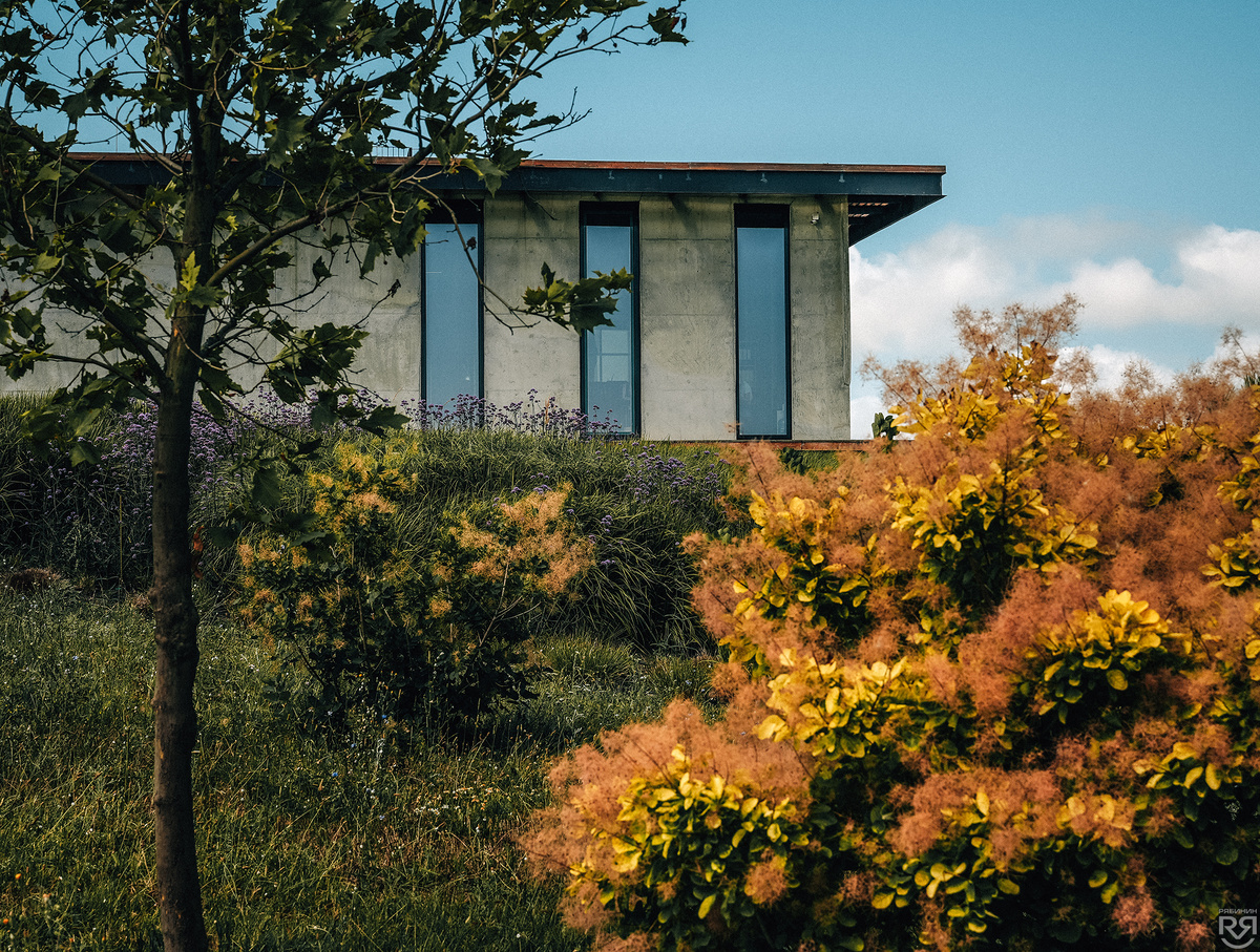 Винокурня "Гай Кодзор". Фото: Михаил Рябинин