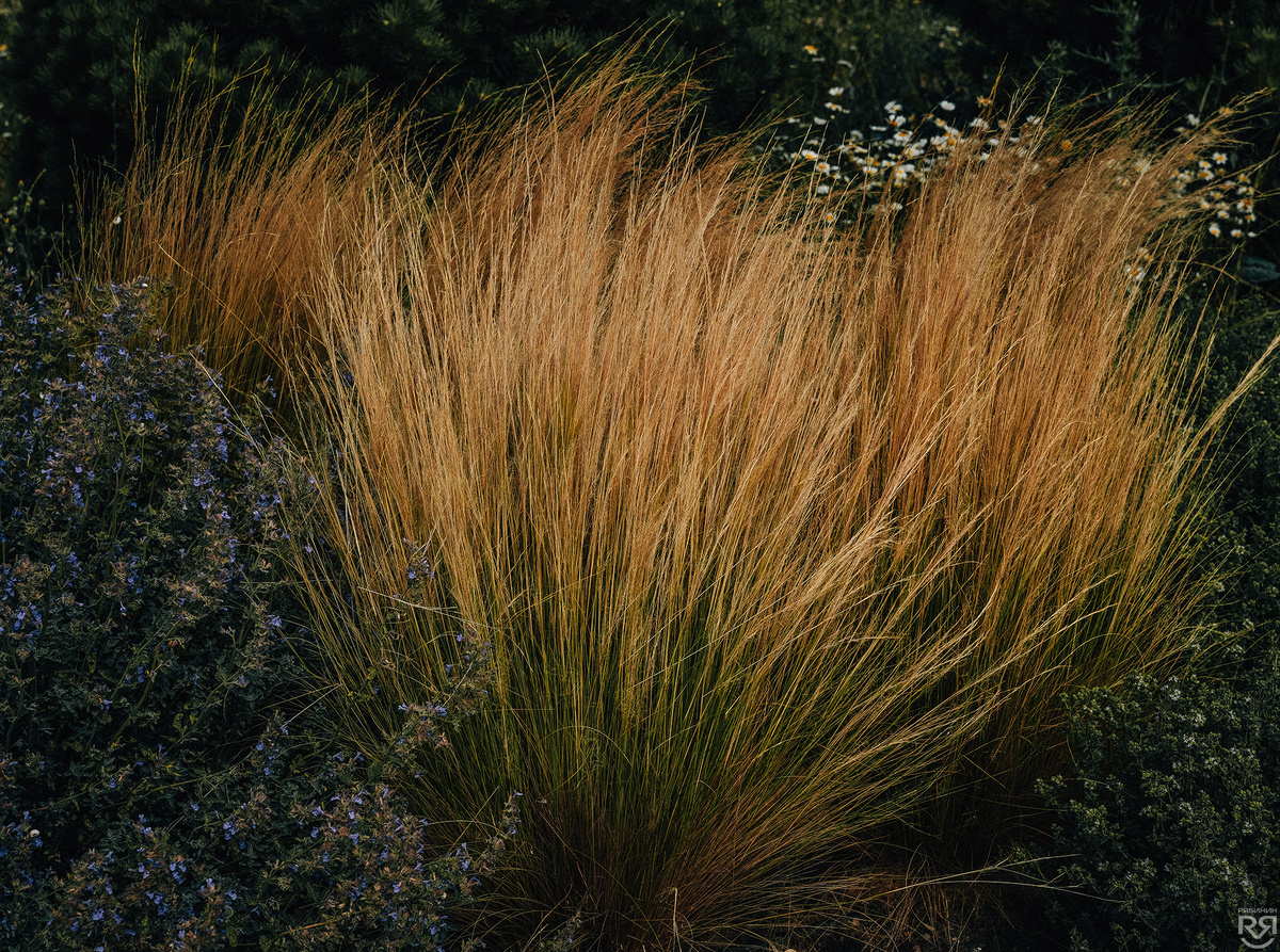 Винокурня "Гай Кодзор". Фото: Михаил Рябинин