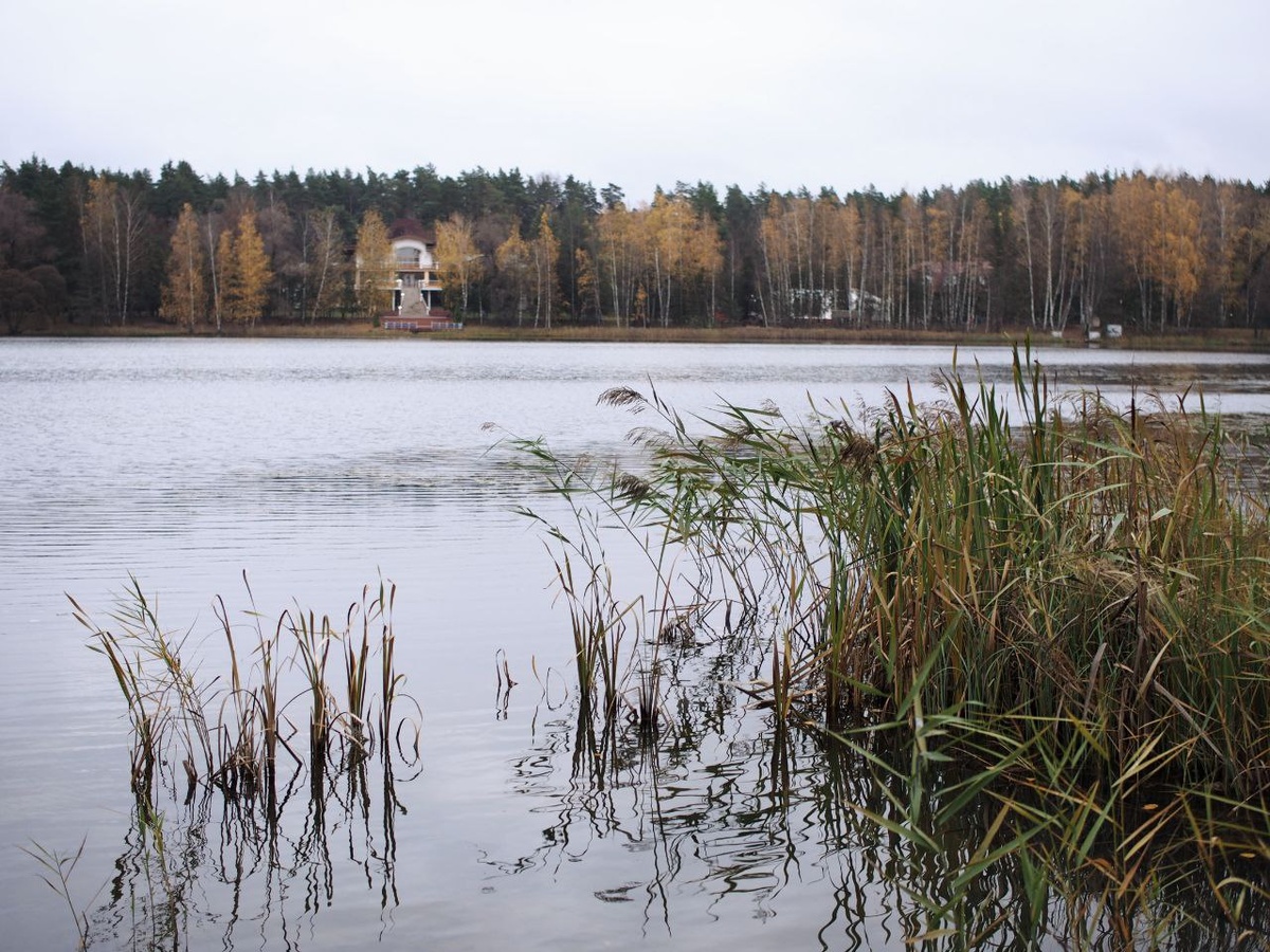 Olympus OM-D E-M10 + Yongnuo 25mm F/1.7