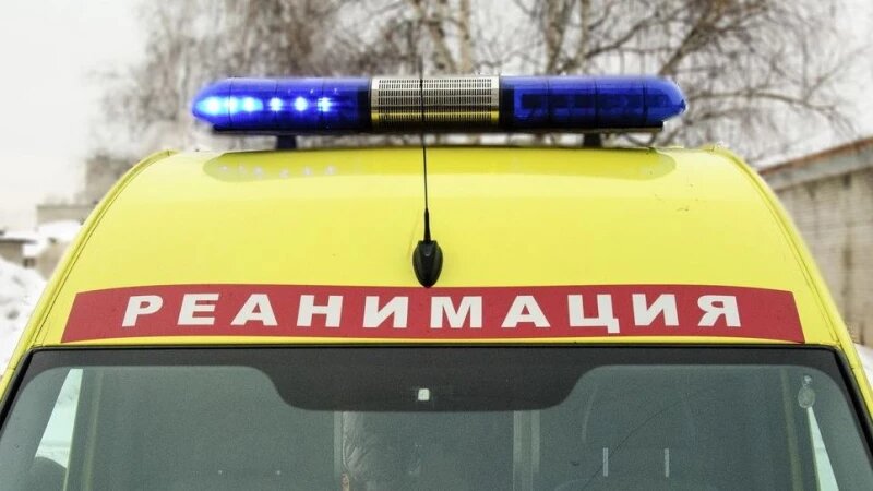     Реанимация. Анна Зайкова