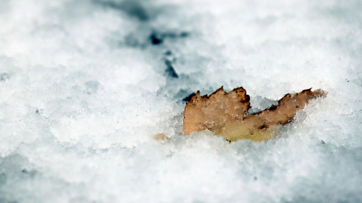     Источник: 1MI