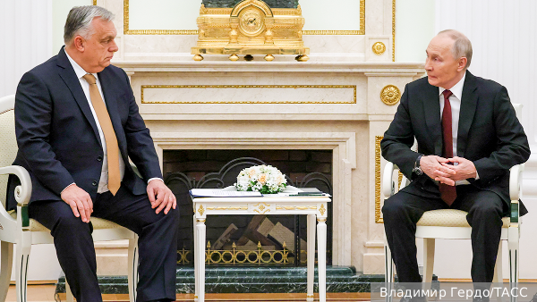     Фото: Владимир Гердо/ТАСС   
 Текст: Валерия Городецкая