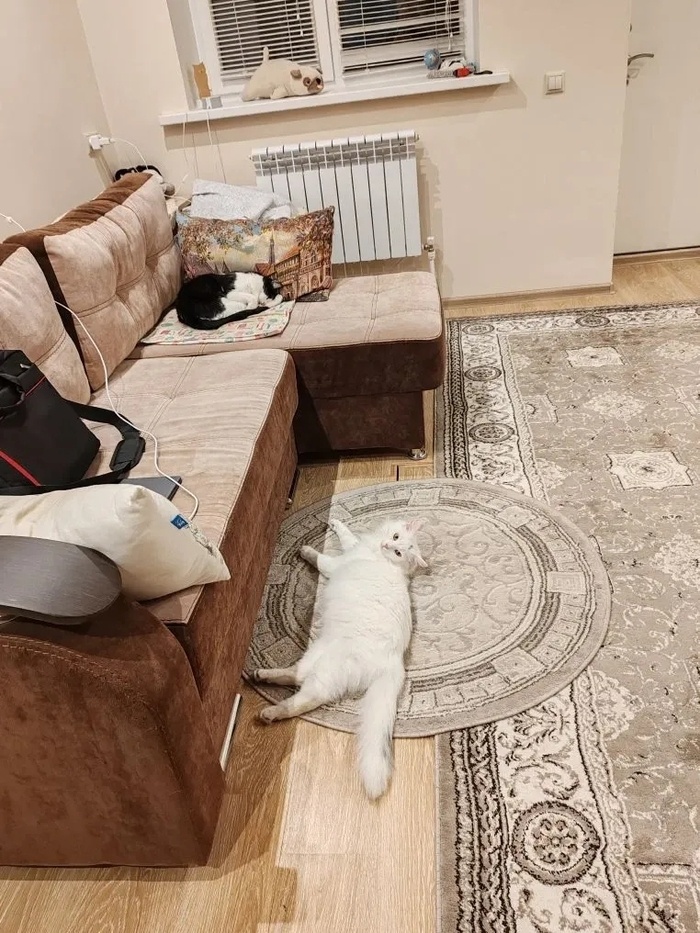 Листайте вправо, чтобы увидеть больше изображений