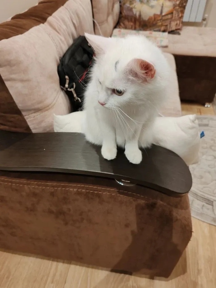 Листайте вправо, чтобы увидеть больше изображений