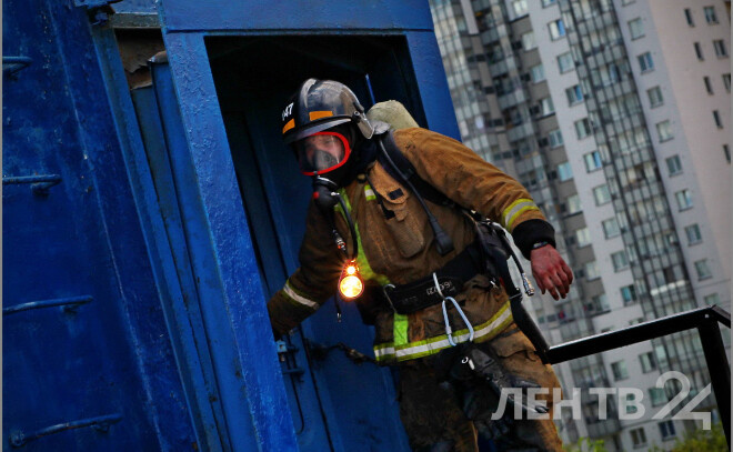    © Анастасия Илюшина / ЛенТВ24. Архивное фото