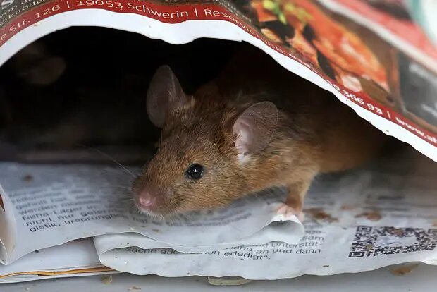    Фото: lenta.ru Павел Евсеев