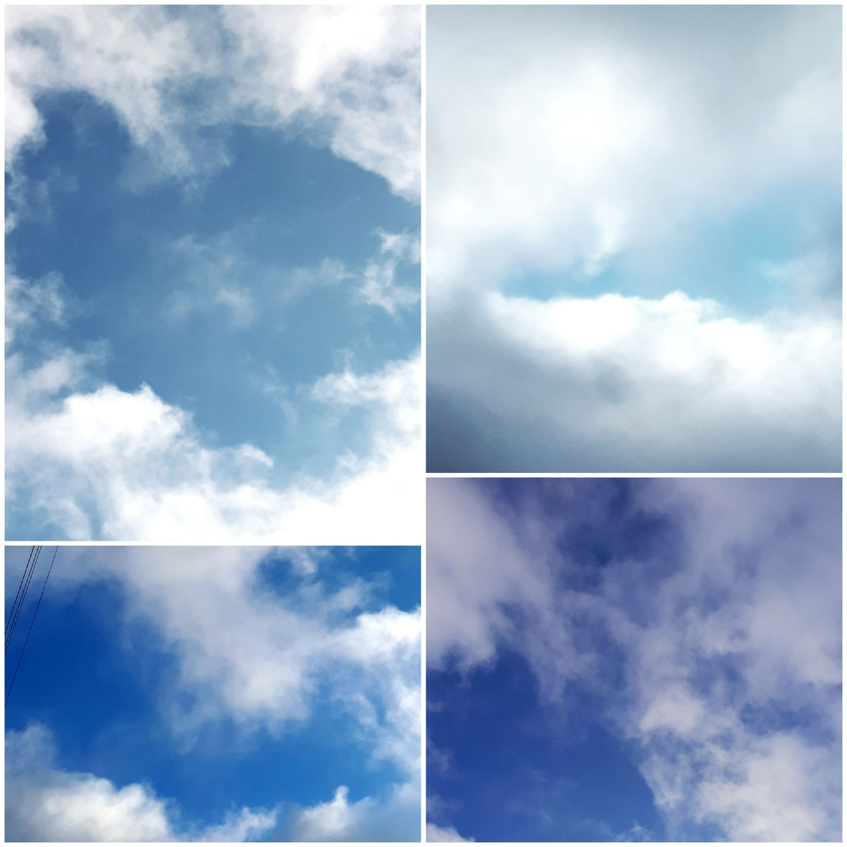 Коллаж автора 28.11.2025г.