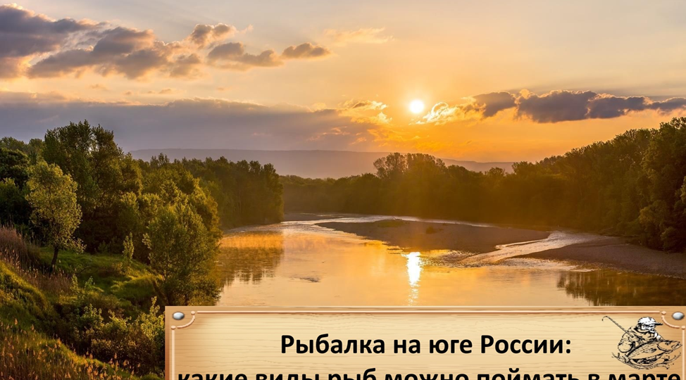 Рыбалка на юге России: какие виды рыб можно поймать в марте