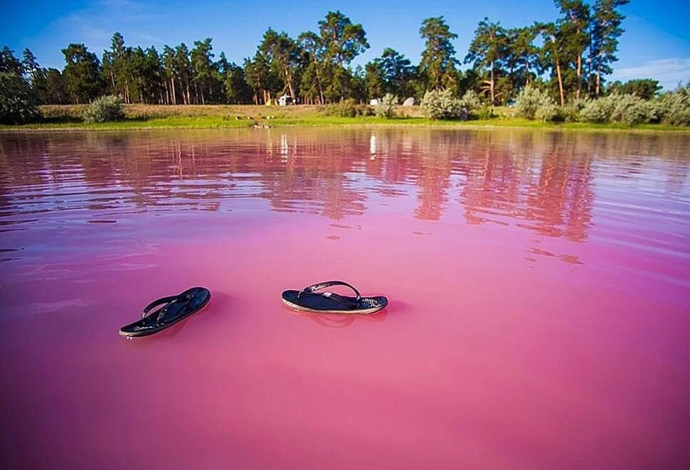 Необычный цвет воды у озера из-за обилия редких водорослей и крошечных рачков