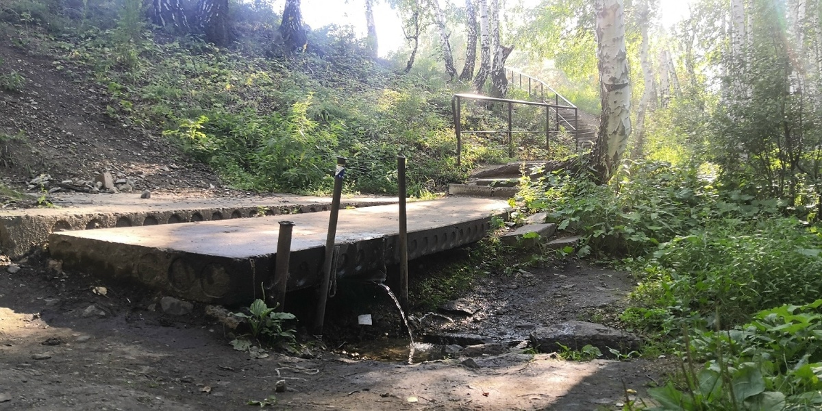 родник, фото 2025 года