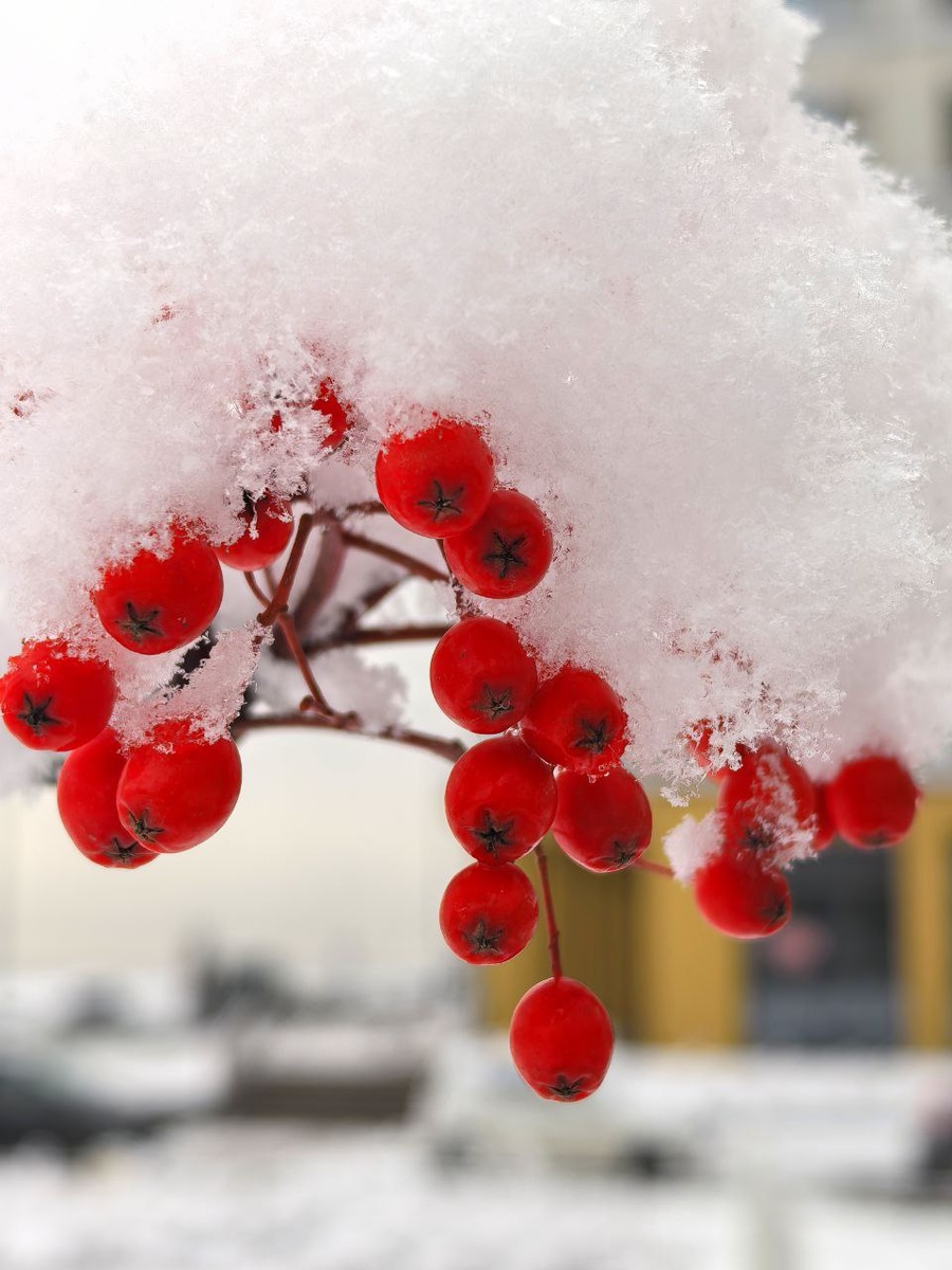 Авторское фото